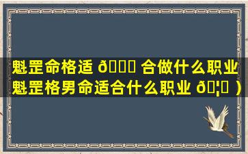 魁罡命格适 🐘 合做什么职业（魁罡格男命适合什么职业 🦊 ）